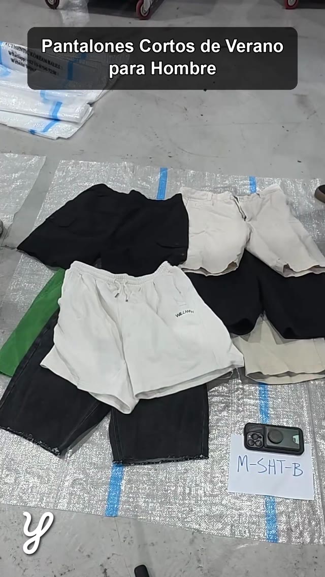 Men's summer shorts