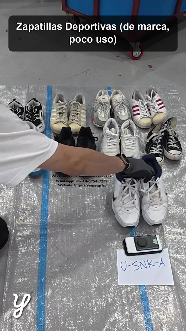 Sneakers (branded, light wear)