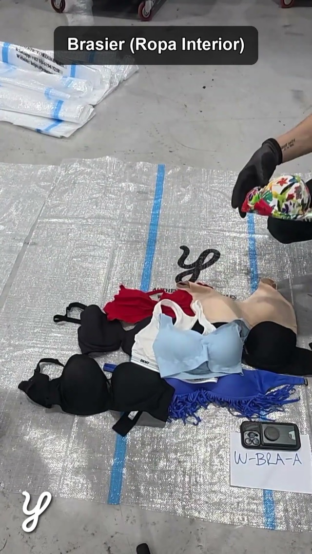 Brassiere (underwear)