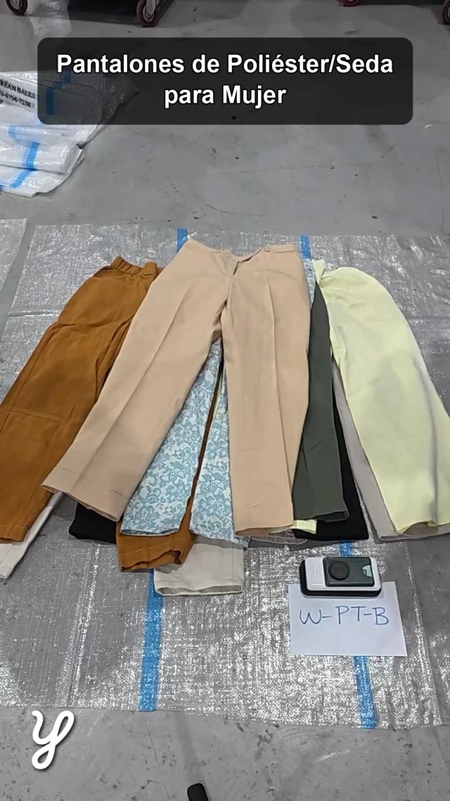 Women's polyester/silk pants